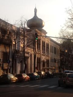 Calido en Parque Lezama - Buenos Aires - 4