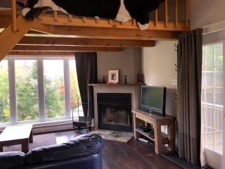 Chalets et Studios Le Vent Du Nord - 7