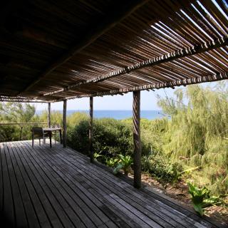 Tofinho Beach House - 5