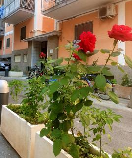 Home In The Blue - Maiori - 3
