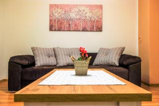 Studio APARTMAN TVRTKO - Varaždin - 9