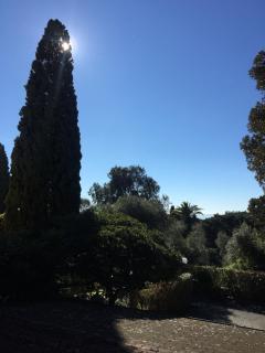 La casa degli ulivi - 4