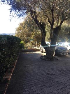 La casa degli ulivi - 5