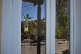 Palmengarten - Finning - 5