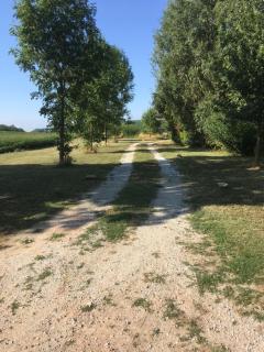 gite de la gasignole - Gardouch - 3