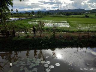 Baan Suan Jantra Home Stay - Chiang Rai - 7