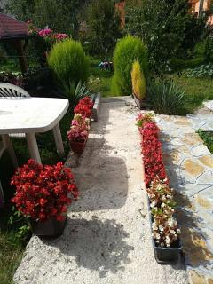 Apartment Beganovic-Centar - 8