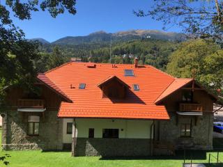 Pensiunea Piscul Cainelui - Sinaia - 4