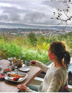 Sapanca Dilek Konagi Hotel - Sapanca - 6