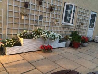 Jasmine House - 4