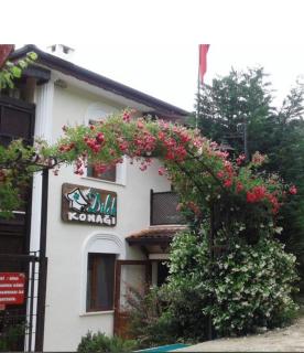 Sapanca Dilek Konagi Hotel - Sapanca - 8