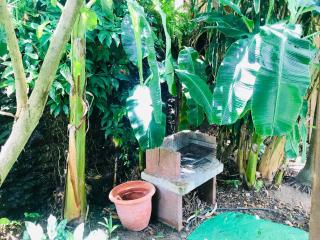 Villa Figues et Mangos - 6