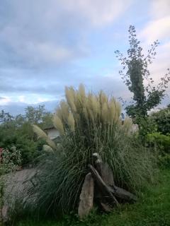 Héritage B&B - 3