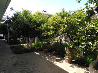 Wonderful garden - Ierápetra - 8