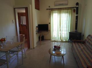 Wonderful garden - 0