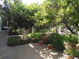 Wonderful garden - Ierápetra - 7