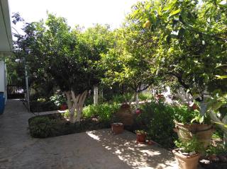 Wonderful garden - Ierápetra - 6