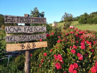 tenuta i musi lunghi - 2