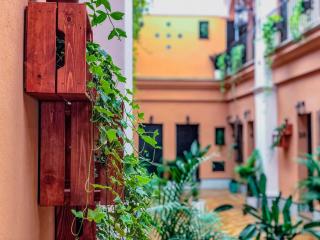 Alojamiento Rural Flamingo - 3