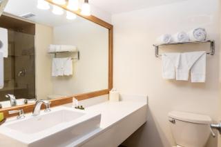 Hidden Valley Resort, an Ascend Collection Resort - 4