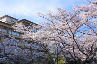 Biwako Hanakaido - Otsu - 4