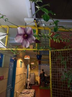 The Little Blue Window Hostel - Bangalore - 6