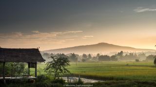 Phuruarounmai Organic Living Resort - Loei - 3