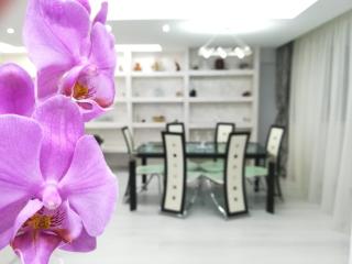 Paradise Apartment - 0