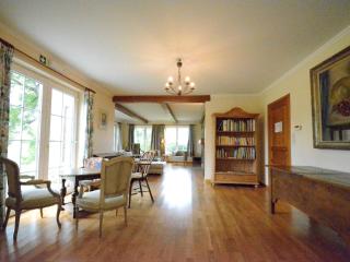 Villa in Ardennes near Forest & River - Daverdisse - 1