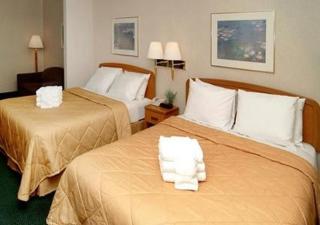 Quality Inn & Suites Roanoke - Fort Worth North - 6