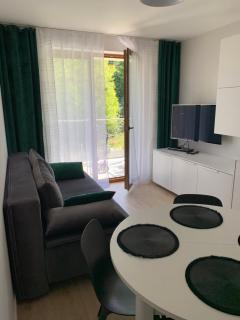 Apartament Skalisty - 1
