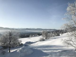 Alpenloge Design Hotel - 1