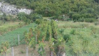Gavros apartmani - Virpazar - 1