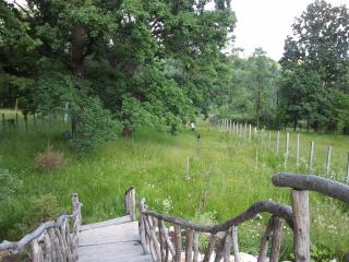 Pensiunea Bogdan - 2