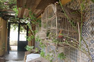 Krivine B&B - Midreshet Ben Gurion - 9