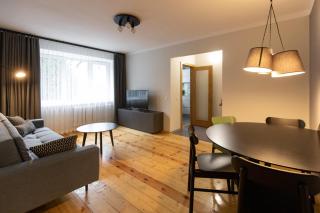 City center Gauja apartment - Valmiera - 8