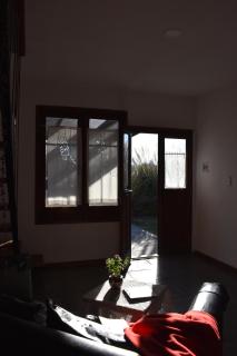 Celandine - 3