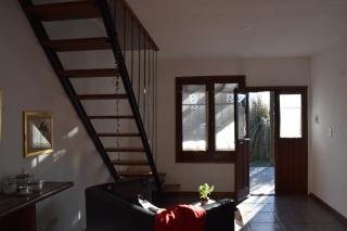 Celandine - 5