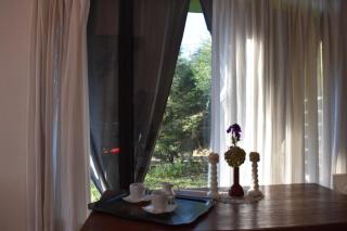 Celandine - 7