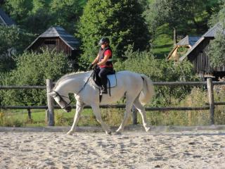 Makek Alpine Oasis - 5