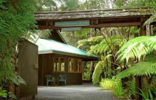 Volcano Rainforest Retreat - 5