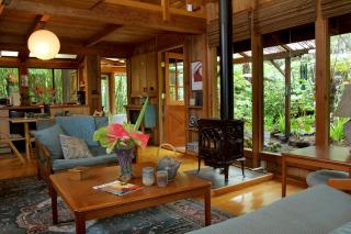 Volcano Rainforest Retreat - 6