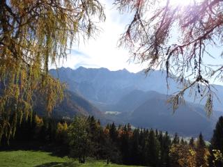 Makek Alpine Oasis - 4
