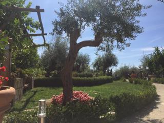 B&B Fior Tramonti - Tramonti - 8