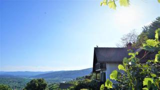 Vineyard Cottage Zajc - Semič - 1