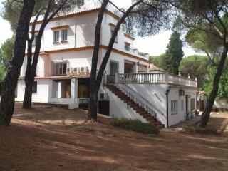 El Pinar De Villa Carmina - Cerro Muriano - 9