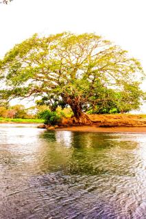 Finca Pamel - 2