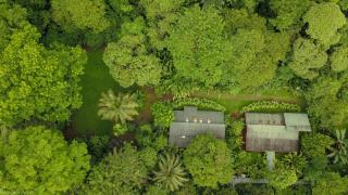 Chilamate Rainforest Eco Retreat - 9