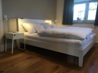 Wohnung in zentraler Lage im Rheintal - Götzis - 8