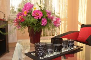 Apartament Skałka - Jaworzno - 4